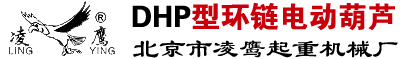 DHP型环链电动葫芦-北京市凌鹰起重机械厂